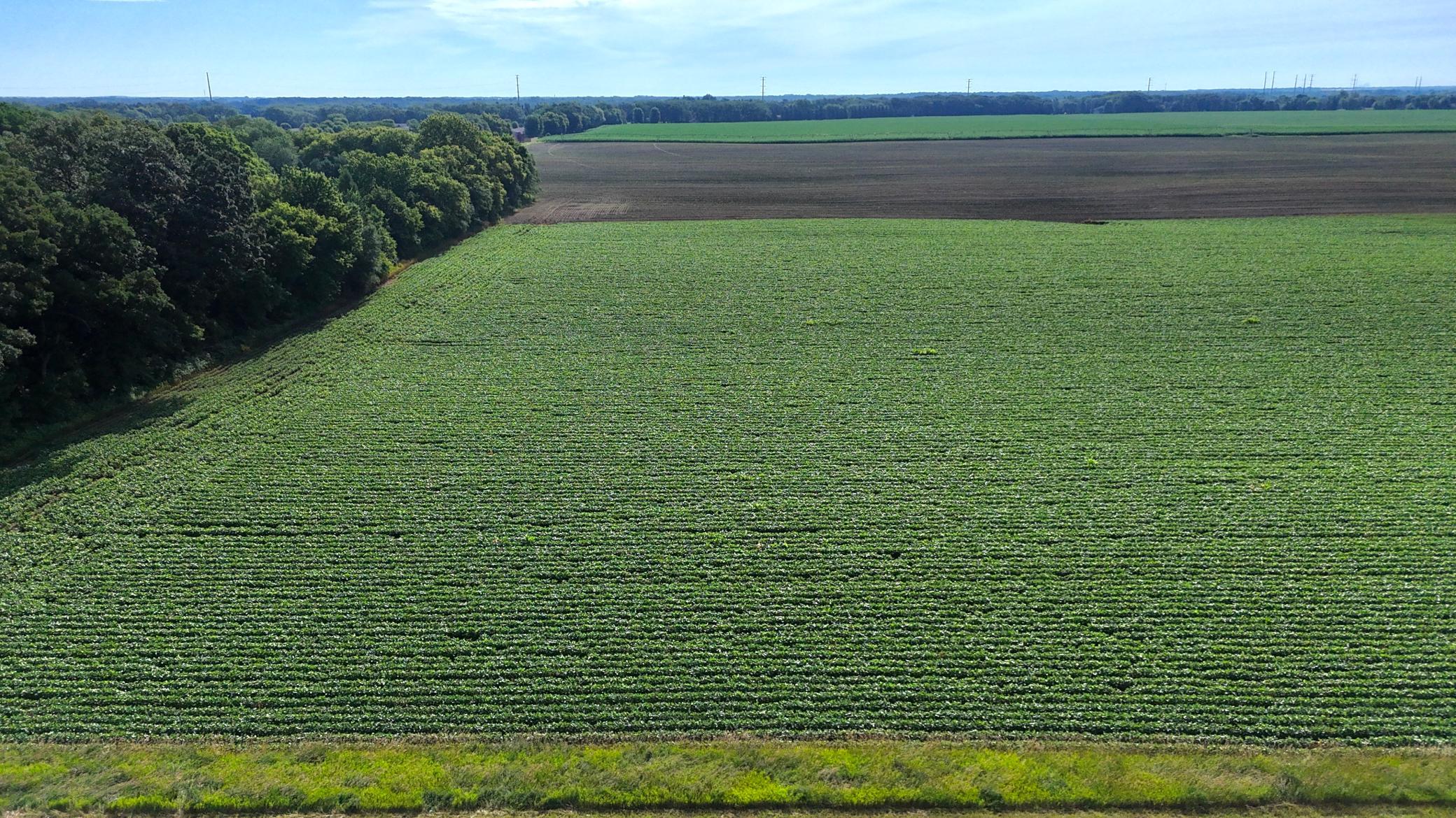 Tbd County Road 7 Property Photo 16