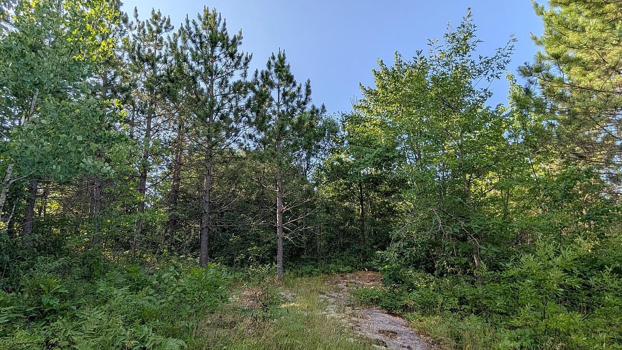 7952 Highway 24 Property Photo 4