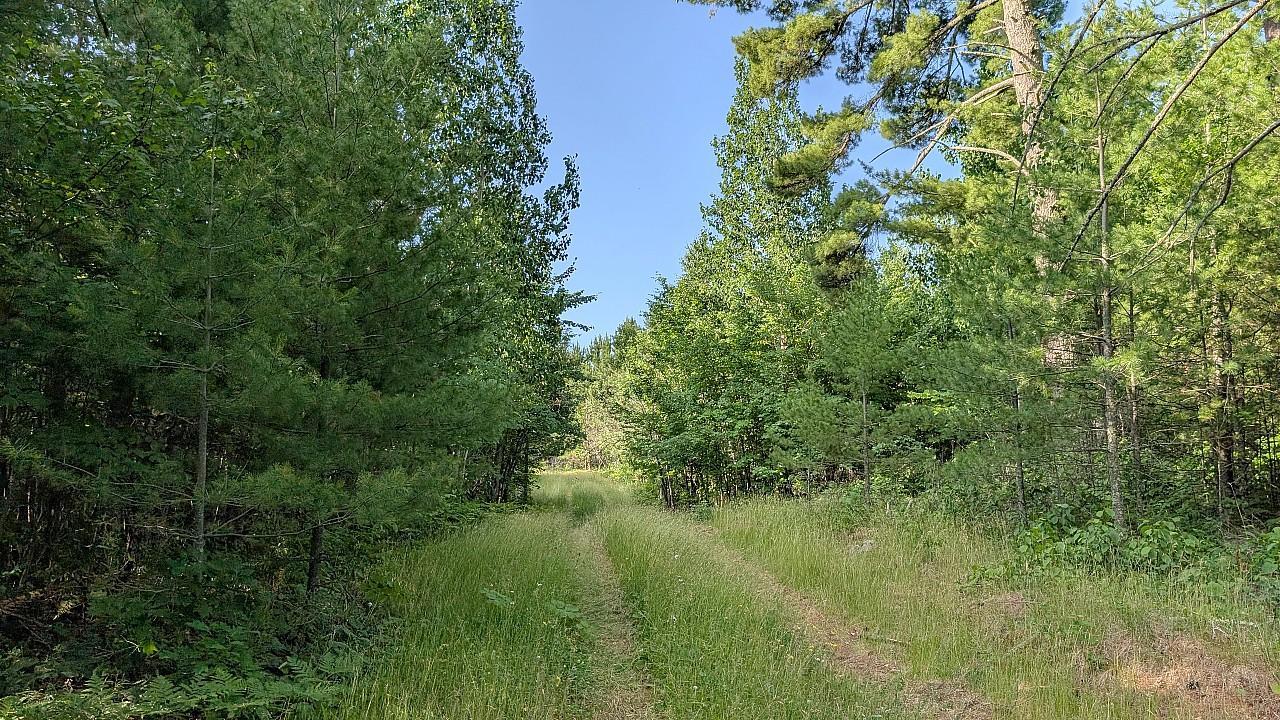 7952 Highway 24 Property Photo 16