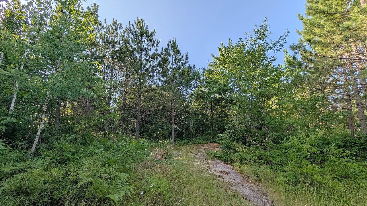 7952 Highway 24 Property Photo 17
