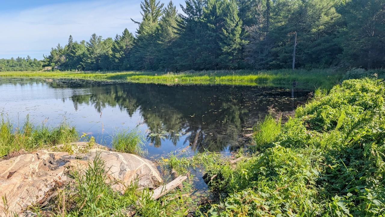 7952 Highway 24 Property Photo 22