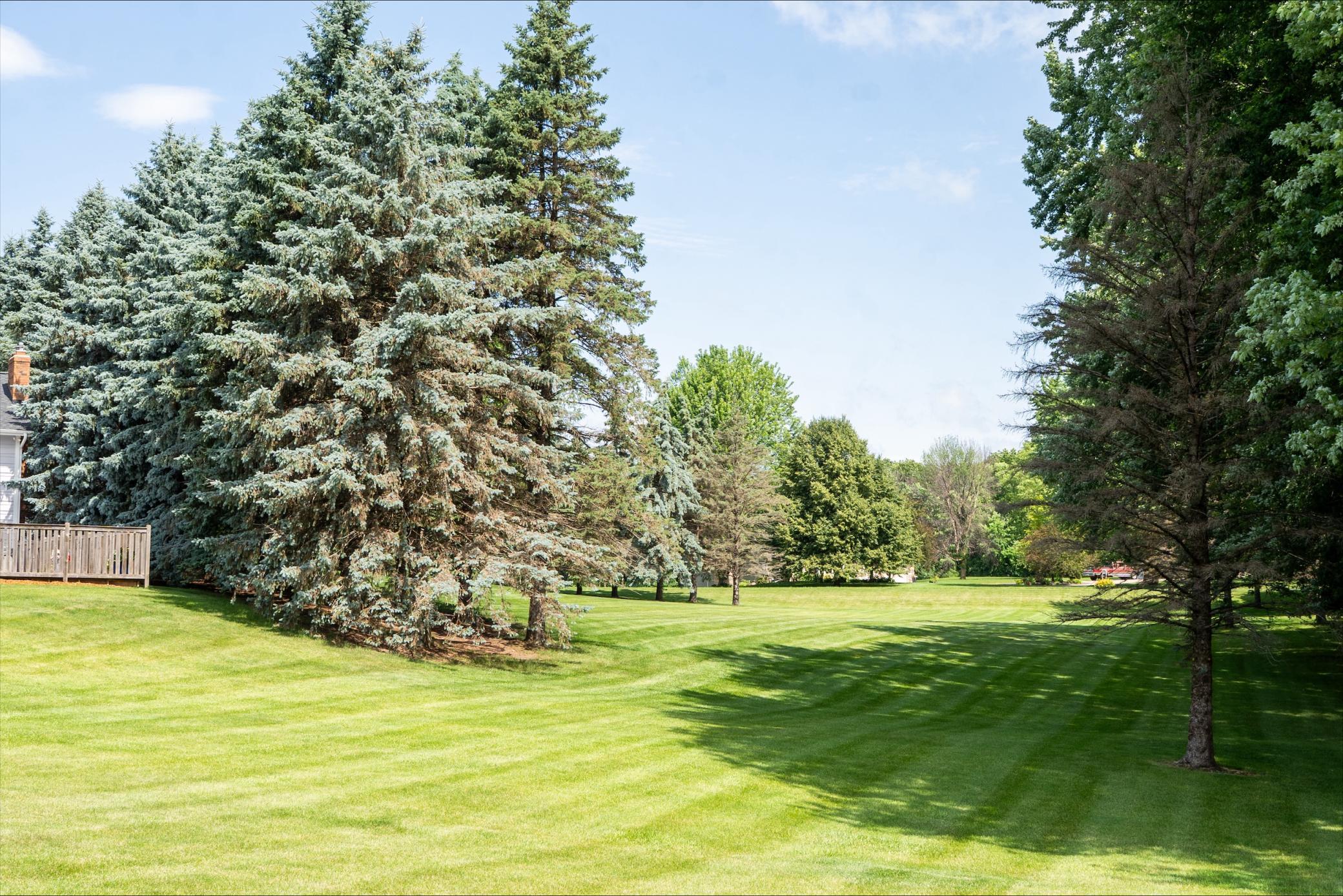 6757 Horseshoe Bend Drive Property Photo 75