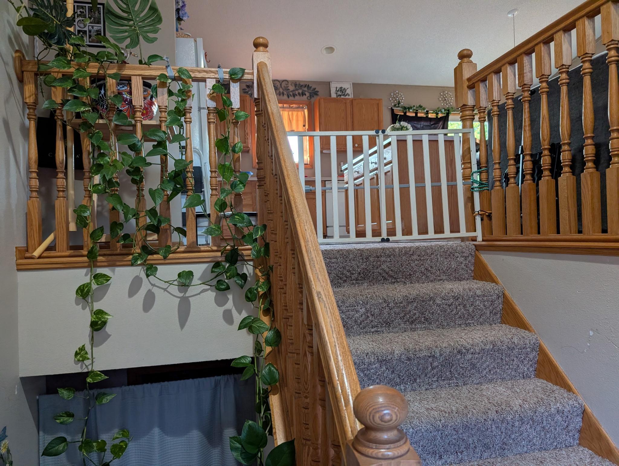 137 Barony Road Property Photo 14