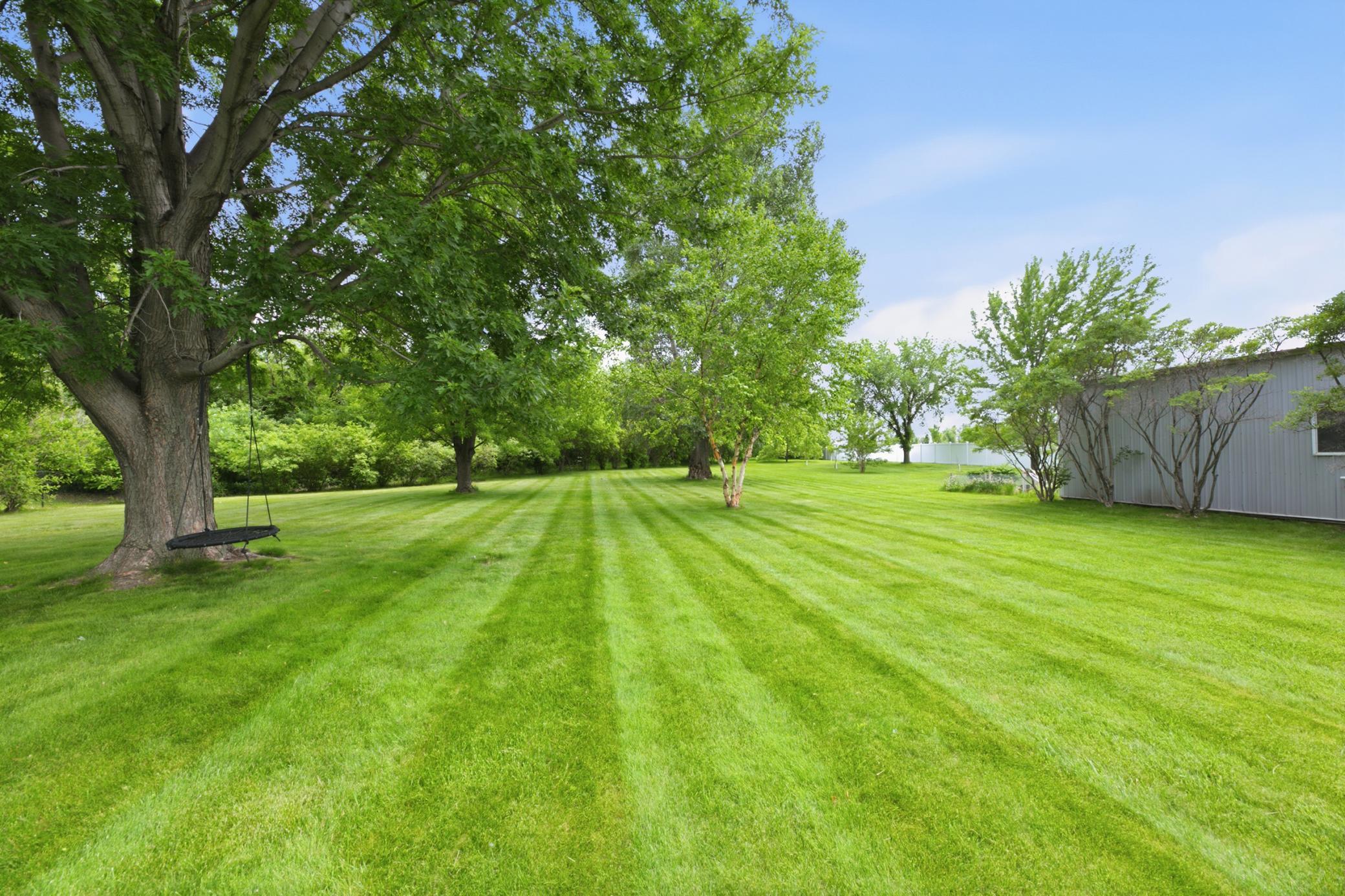 104 Golden Spike Road Property Photo 5