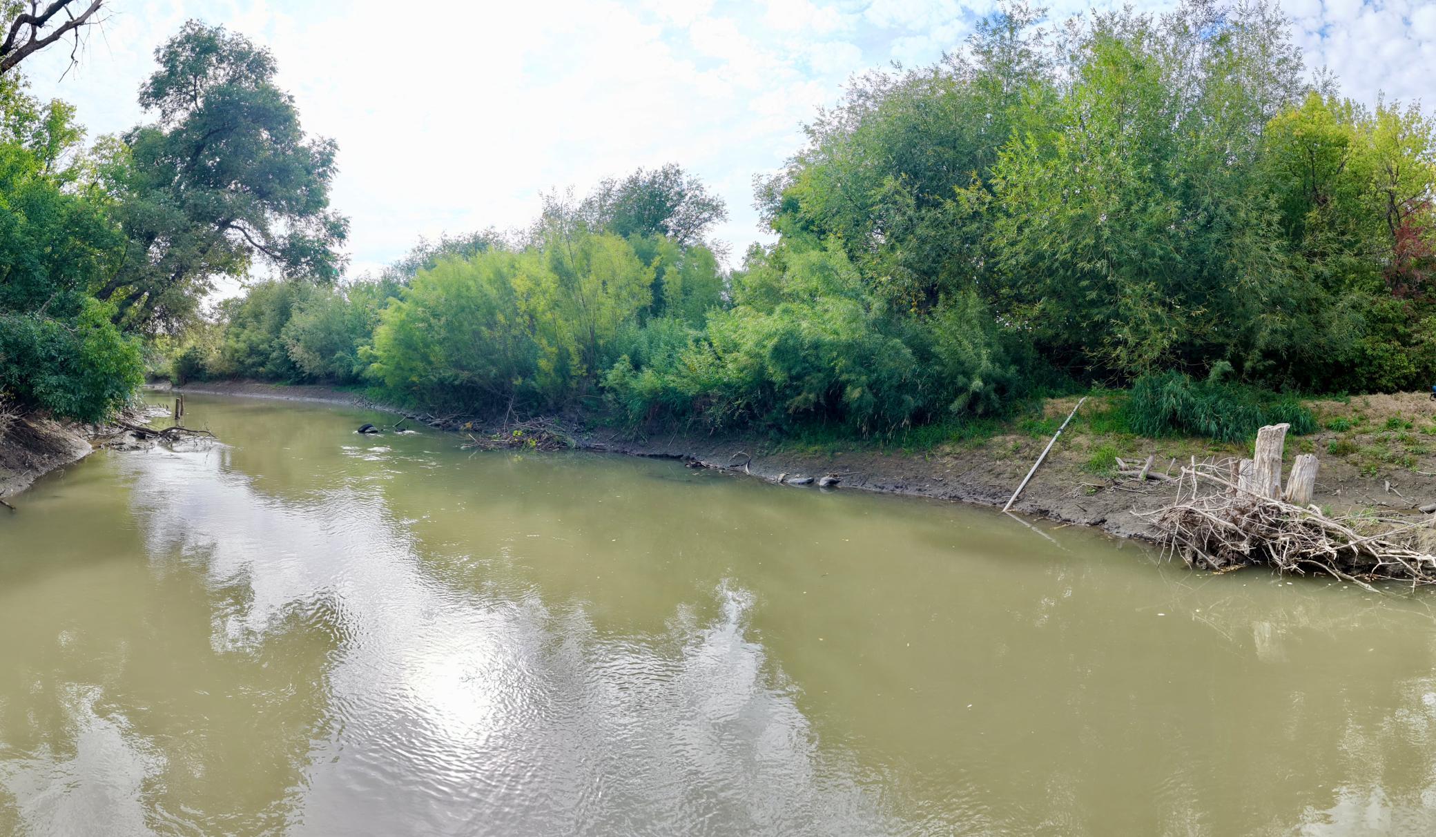 104 Golden Spike Road Property Photo 8