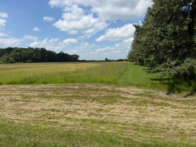 24907 County Road 6 Property Photo 5