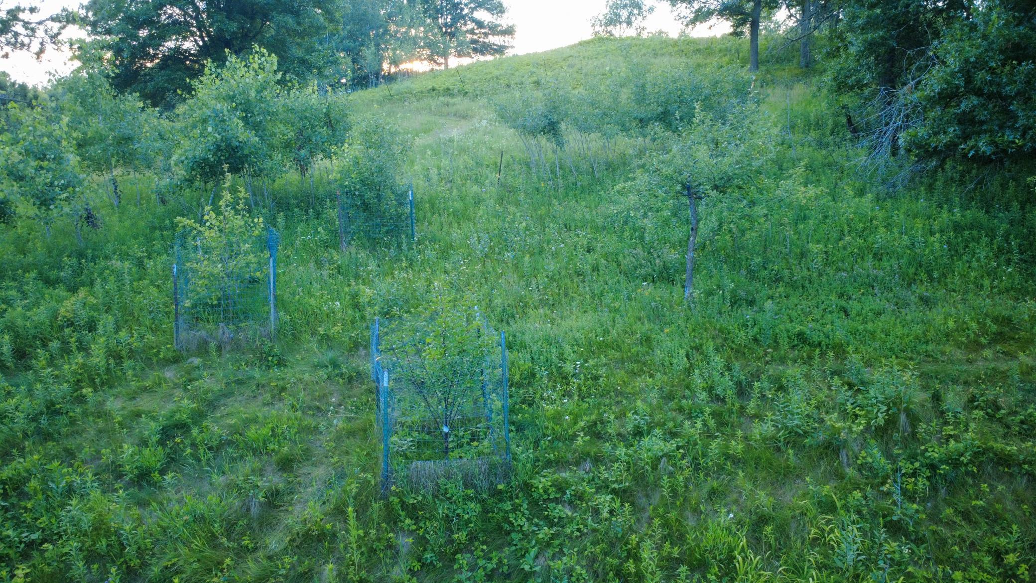 E9393 1080th Avenue Property Photo 62