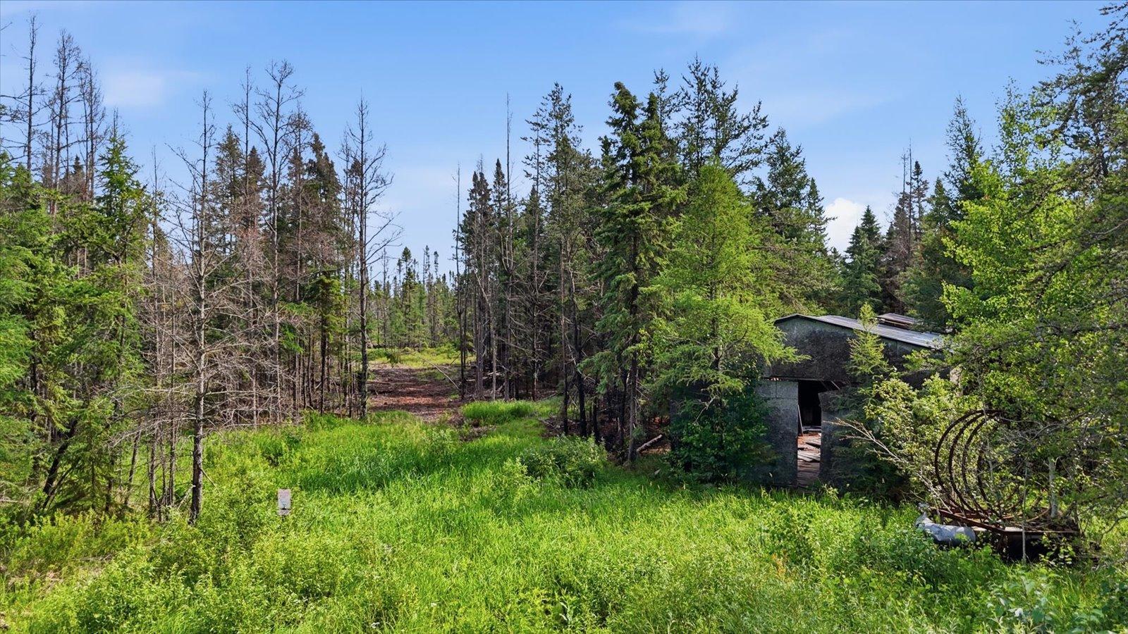 11352 Highway 2