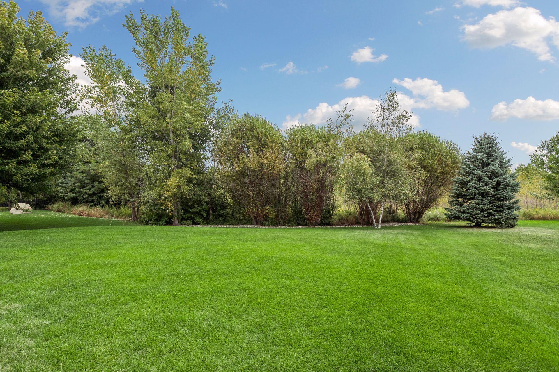 11307 Harness Draw Property Photo 59