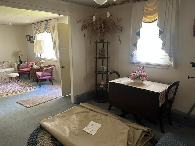 30450 W Shore Drive Property Photo 25