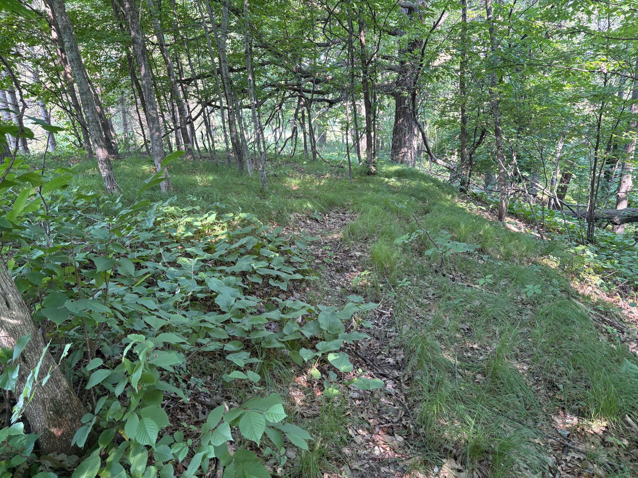 320th 320th Street Property Photo 1