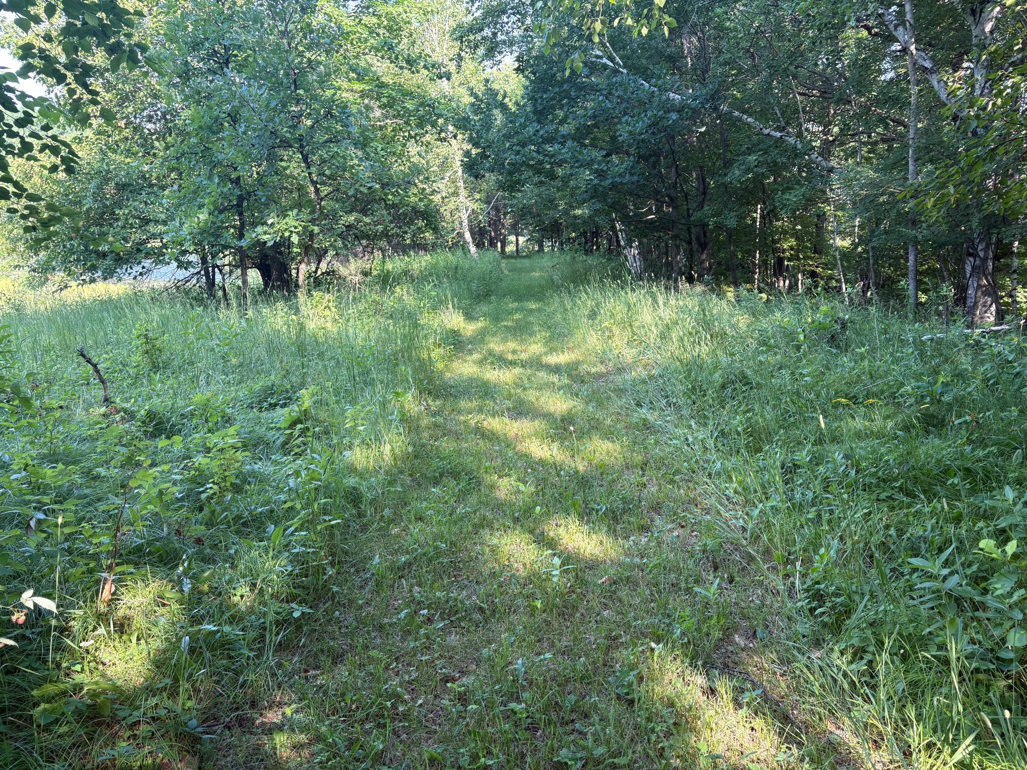 320th 320th Street Property Photo 6