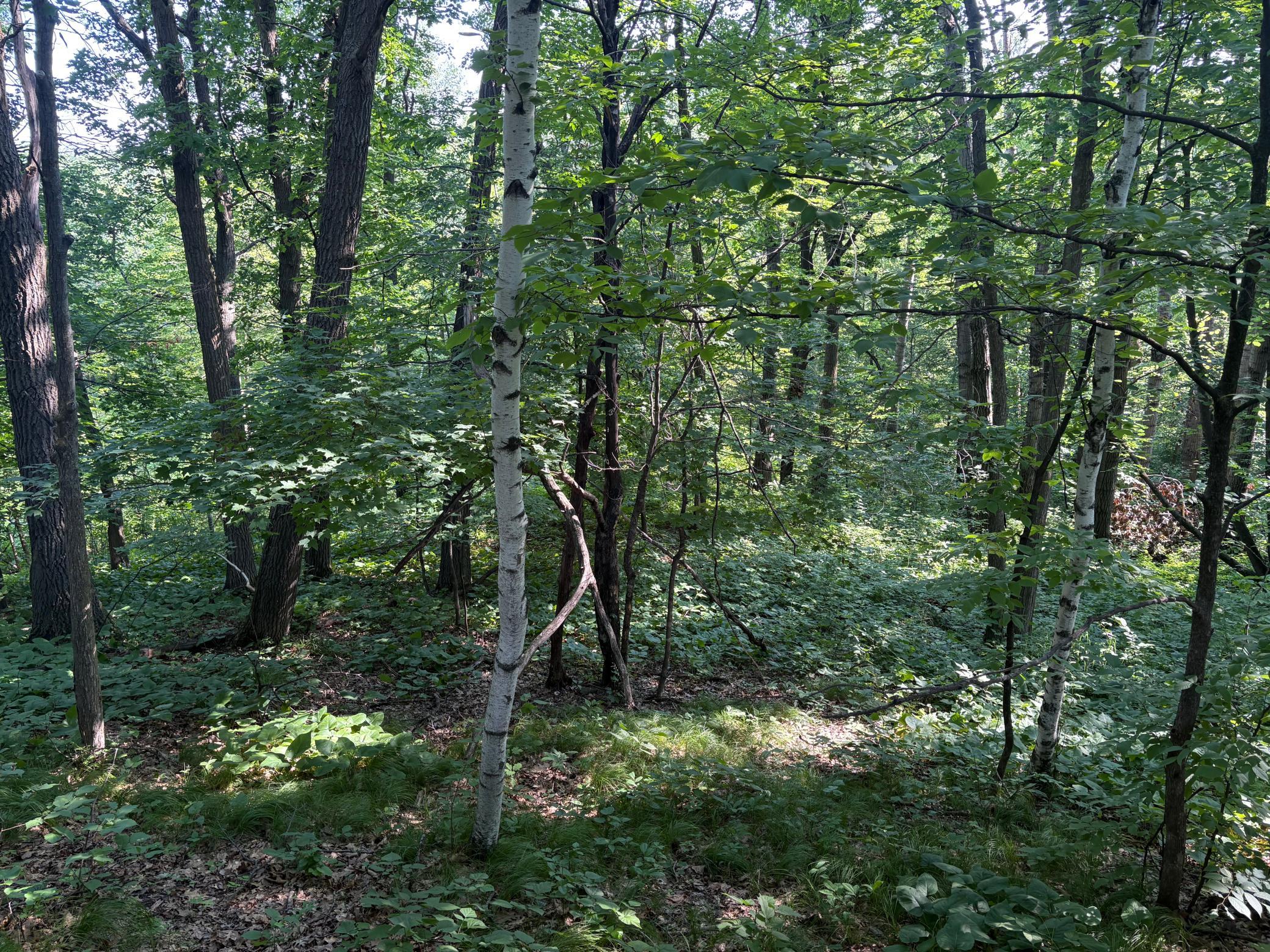 320th 320th Street Property Photo 15