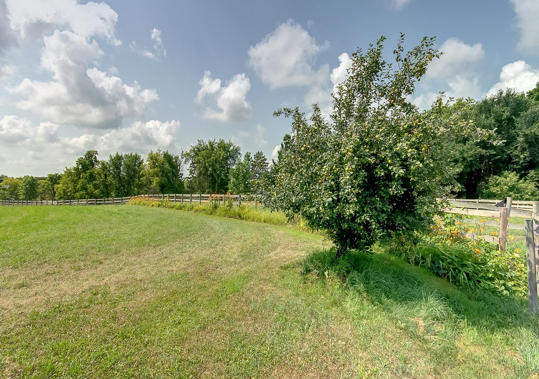 2989 140th Street E Property Photo 20