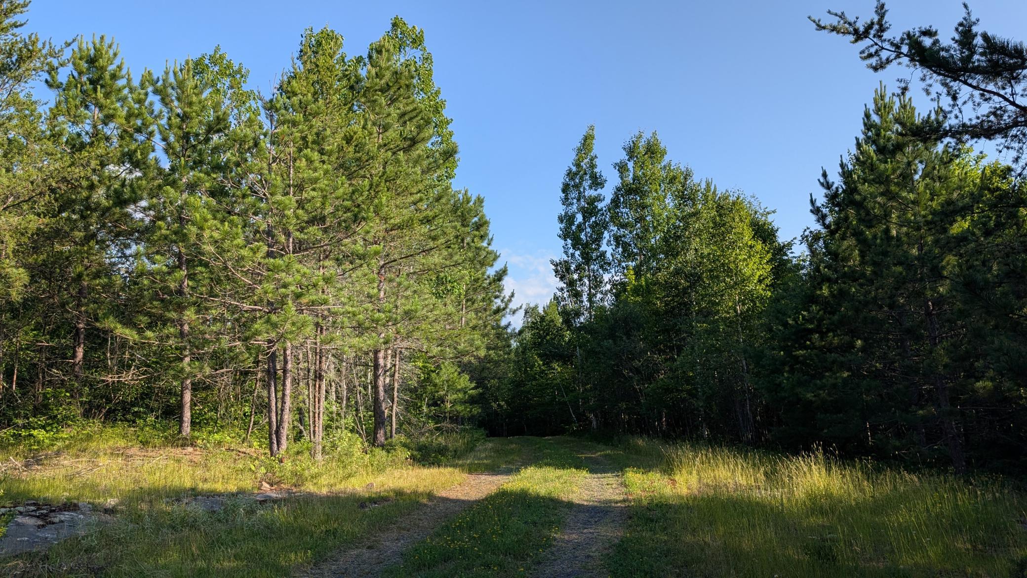 Lot A Hwy. 24 Property Photo 1