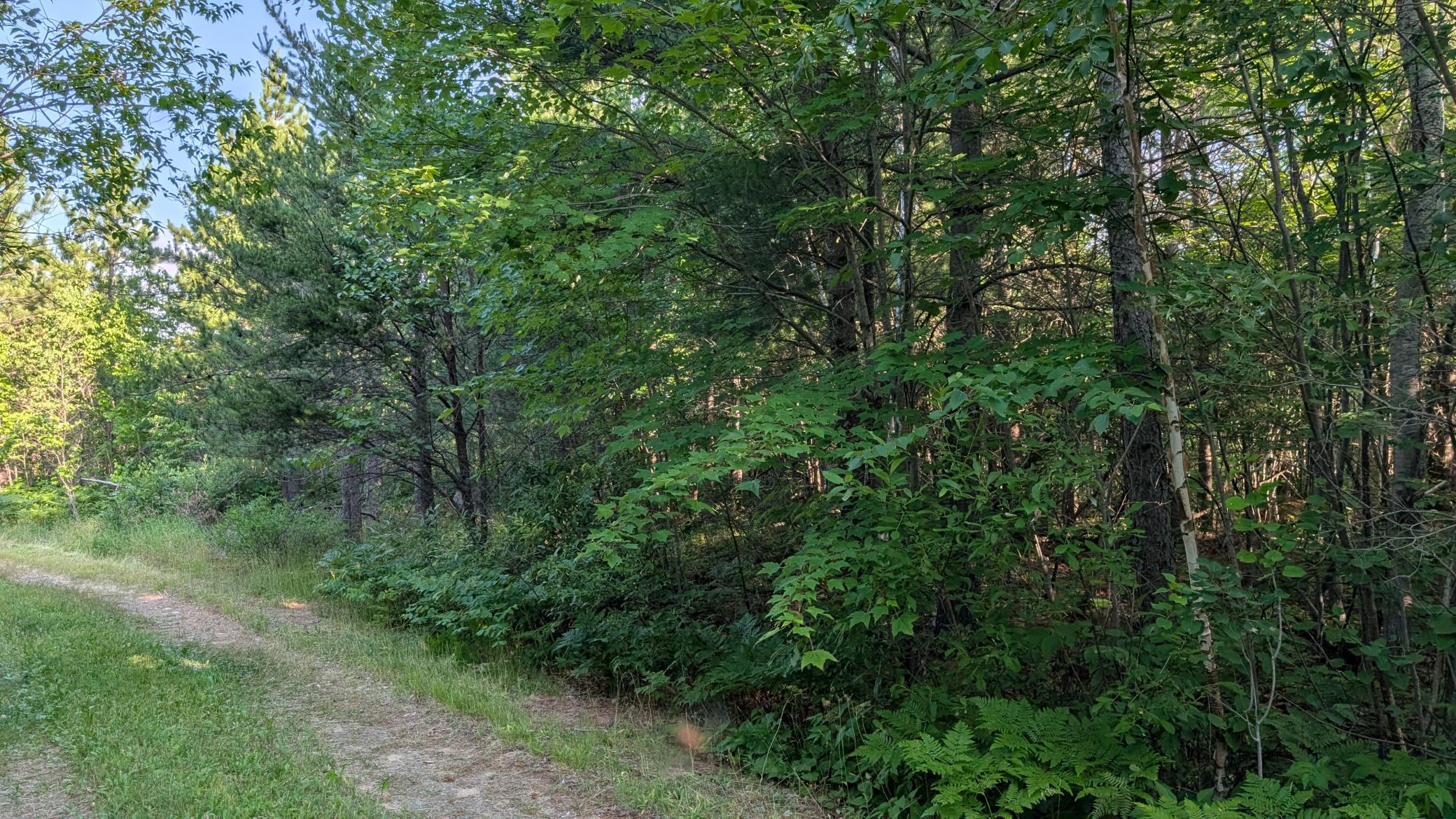 Lot B Hwy. 24 Property Photo 1
