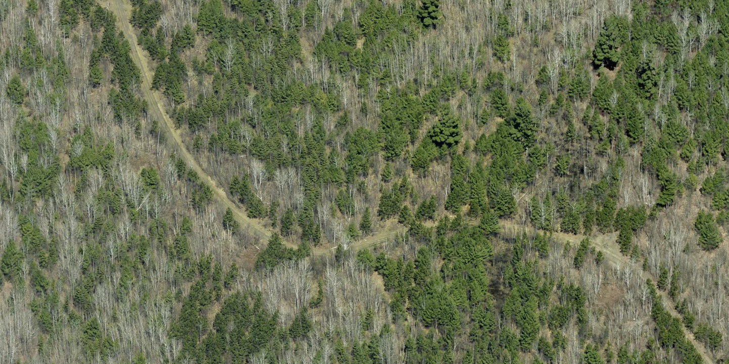 Lot B Hwy. 24 Property Photo 3