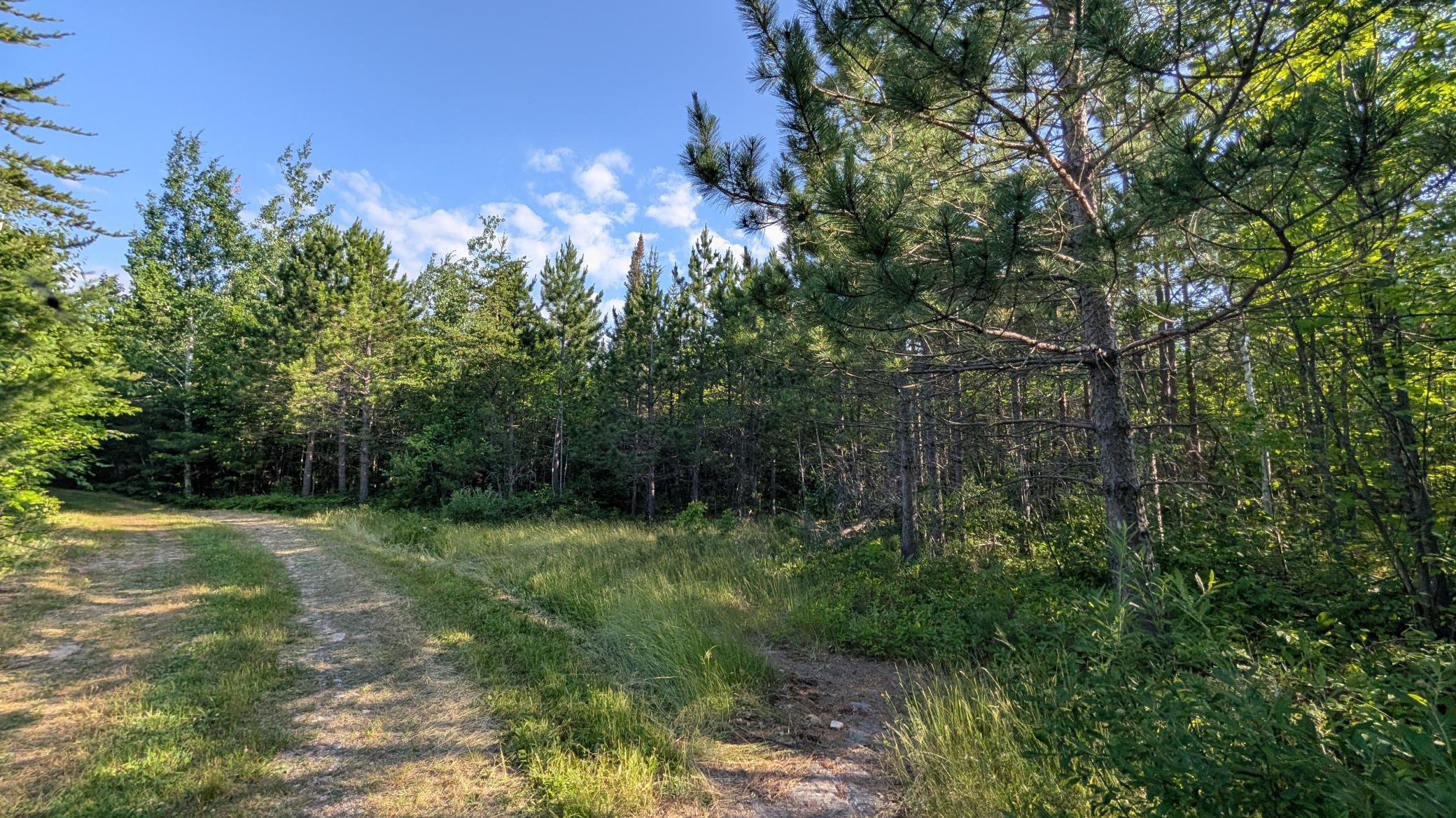Lot B Hwy. 24 Property Photo 8