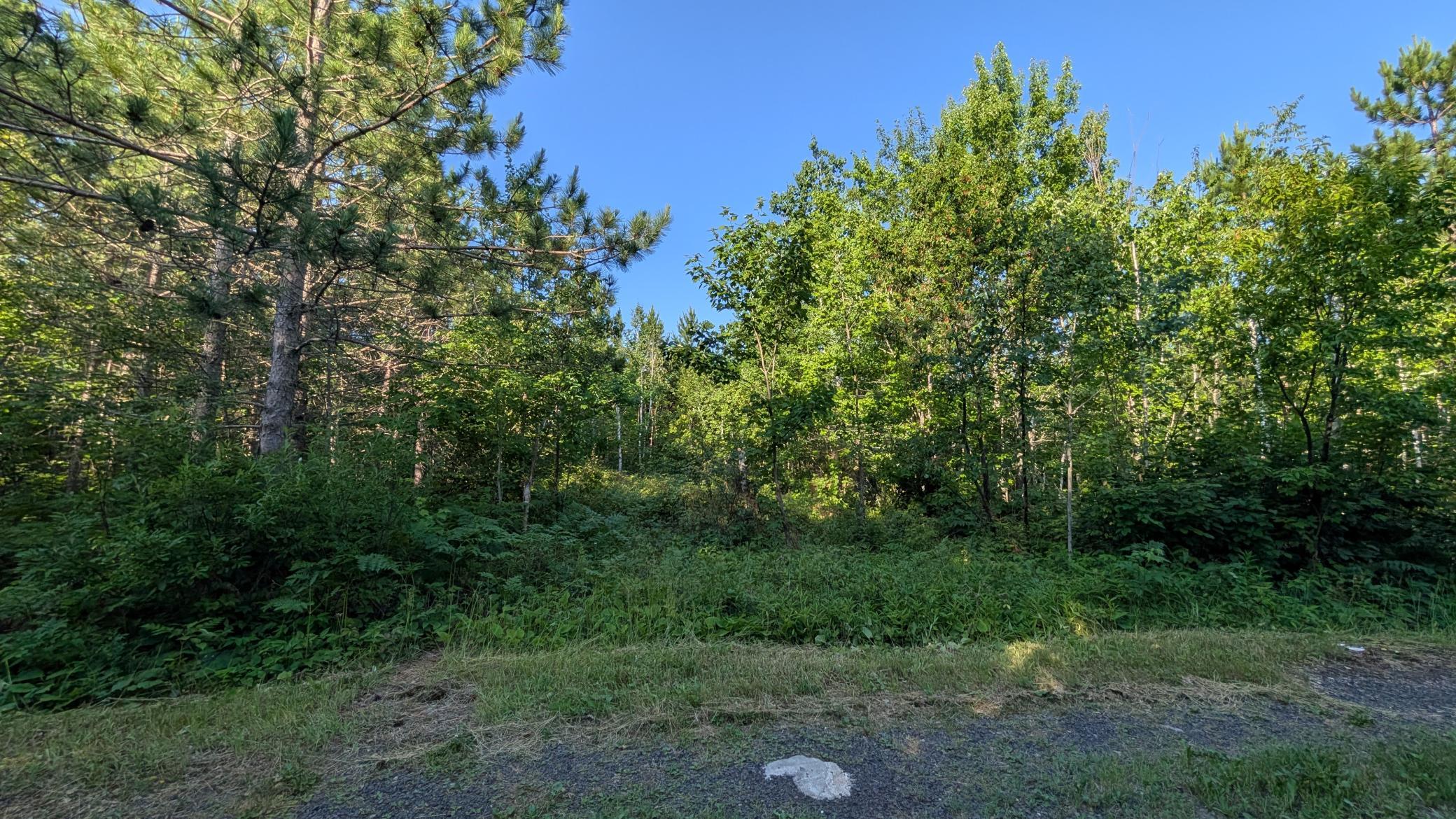 Lot B Hwy. 24 Property Photo 10