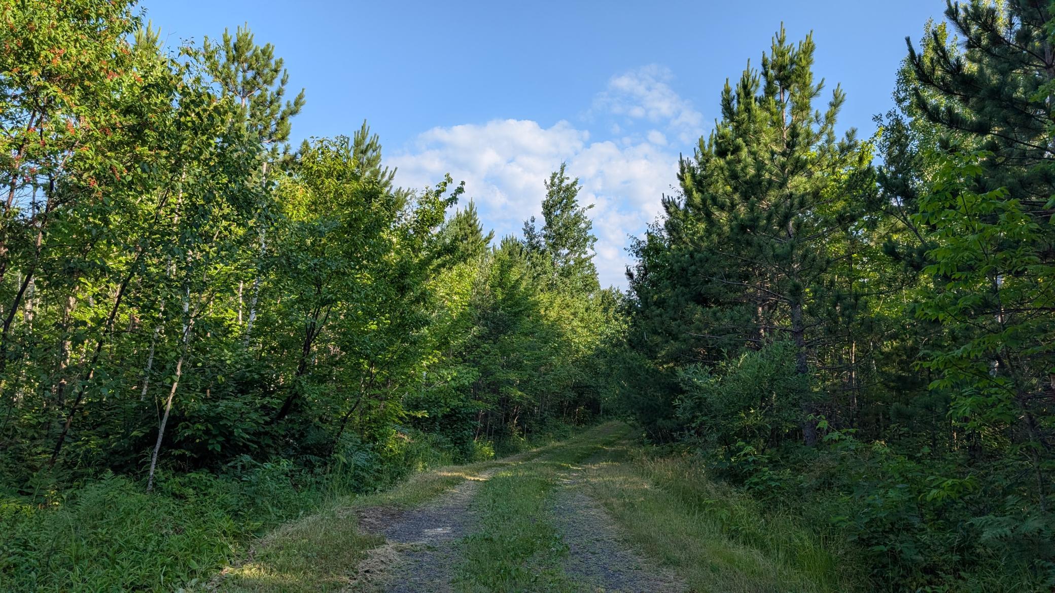 Lot B Hwy. 24 Property Photo 11