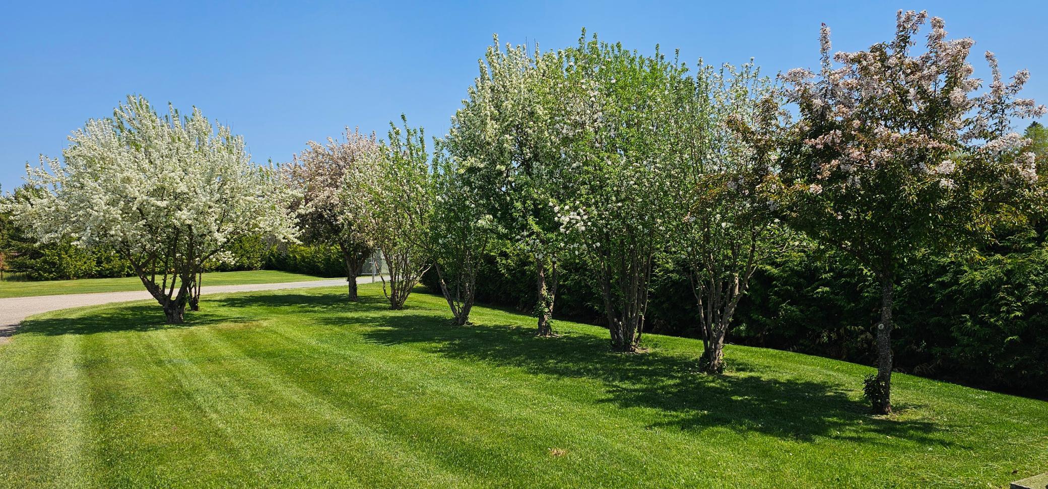 7209 Fairgrounds Road Nw Property Photo 11