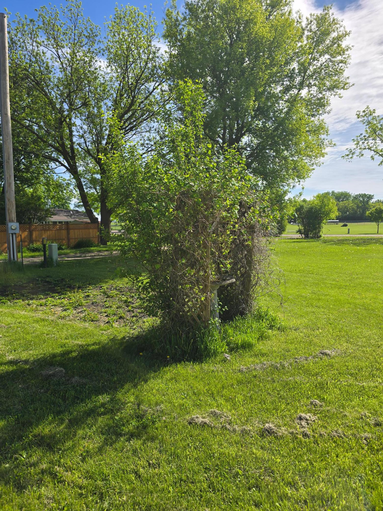 604 E Willow Avenue Property Photo 13