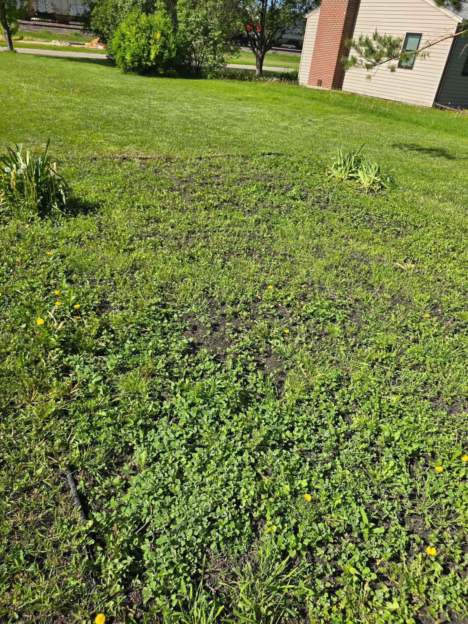 604 E Willow Avenue Property Photo 14