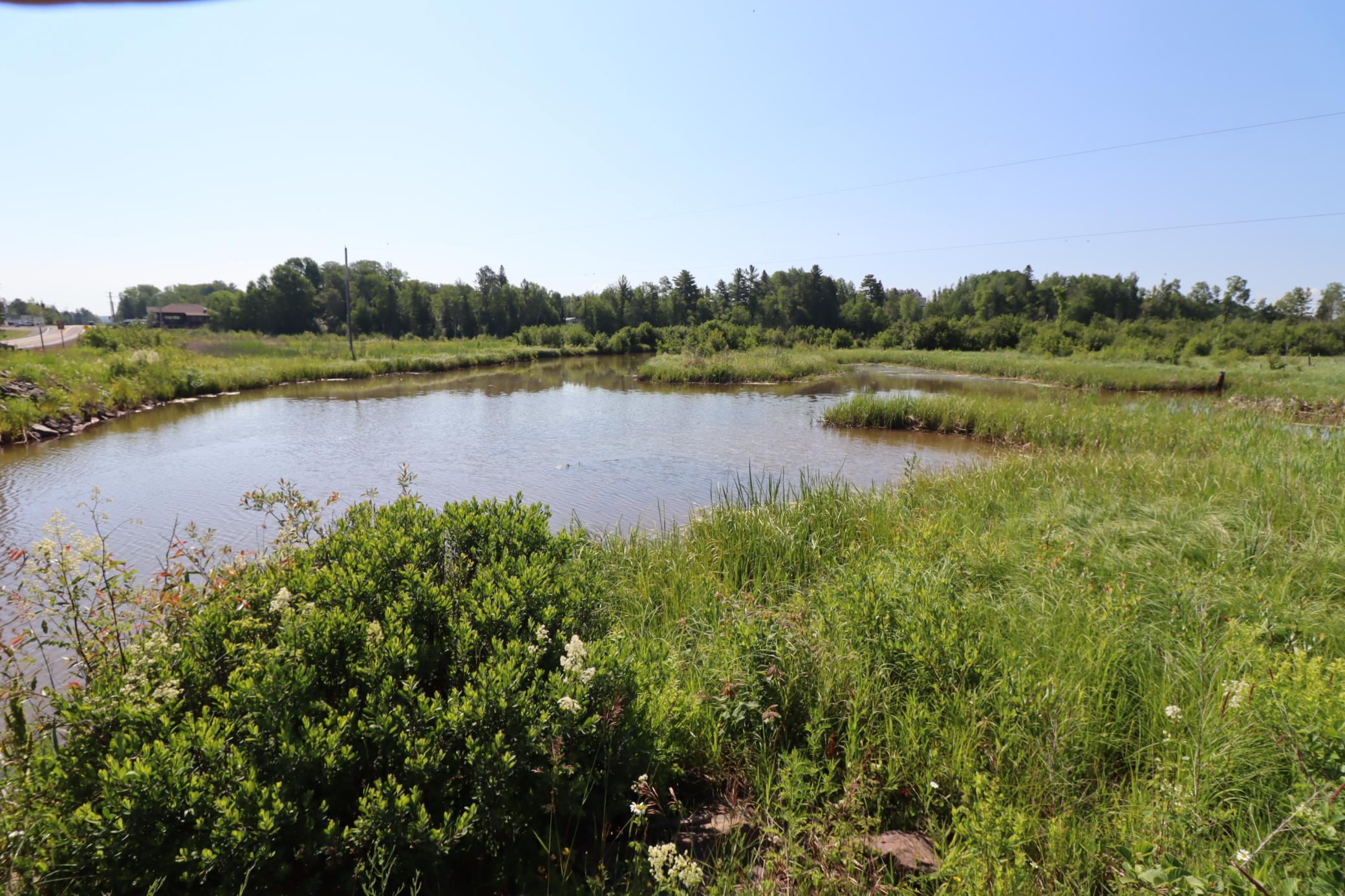 86985 Lenawee Road Property Photo 11