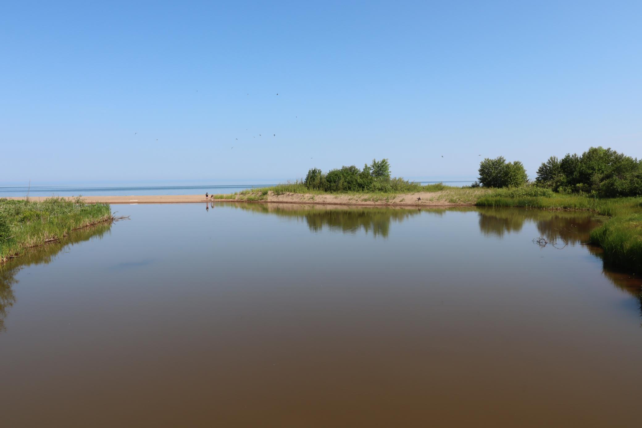 86985 Lenawee Road Property Photo 12