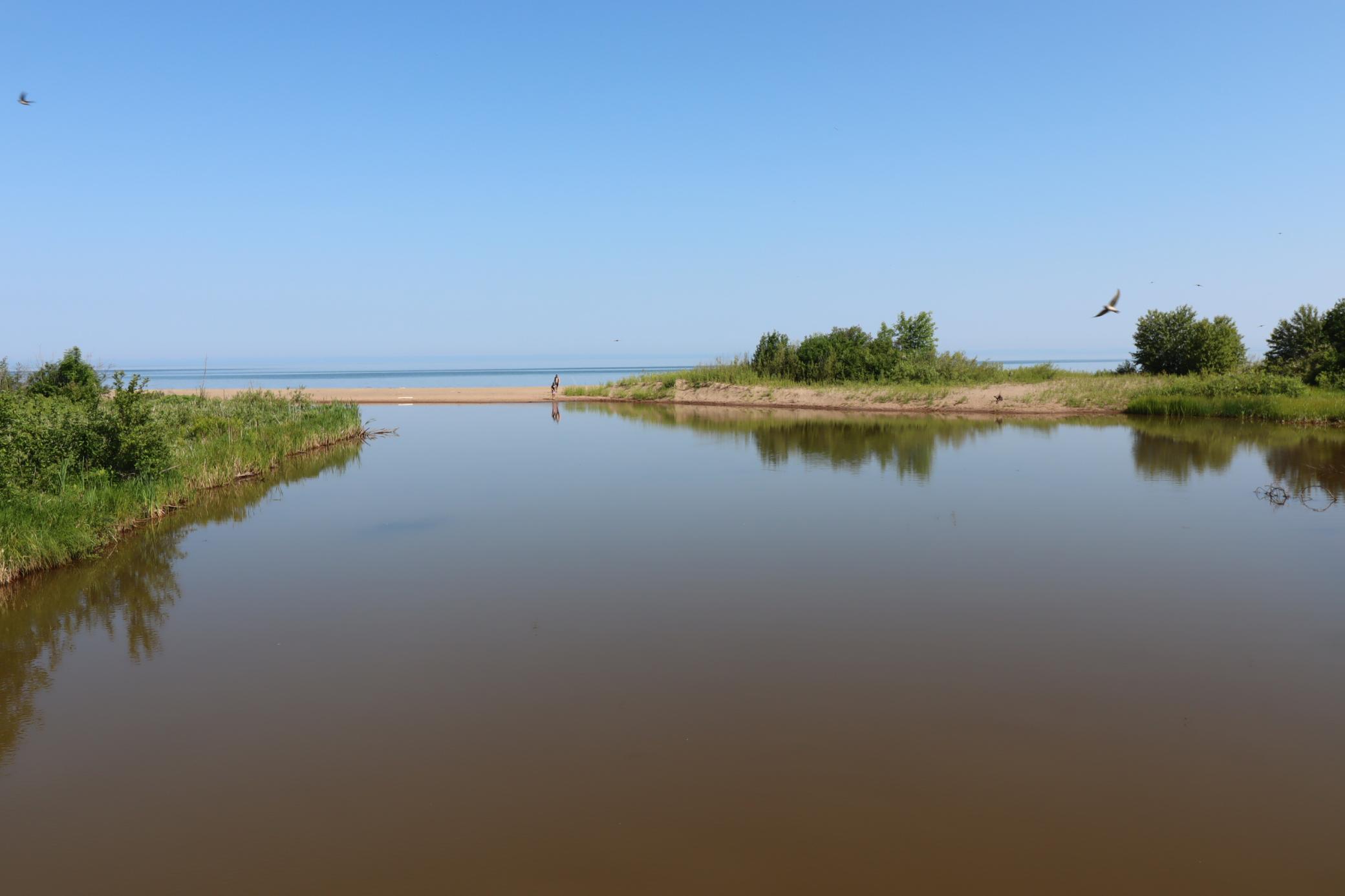 86985 Lenawee Road Property Photo 13
