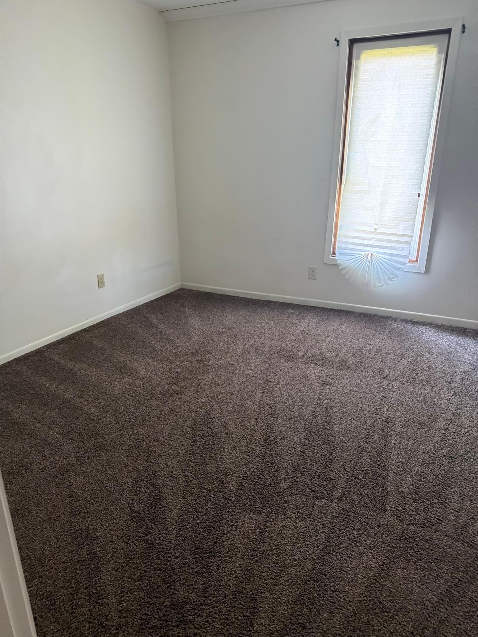 543 River Street Property Photo 6