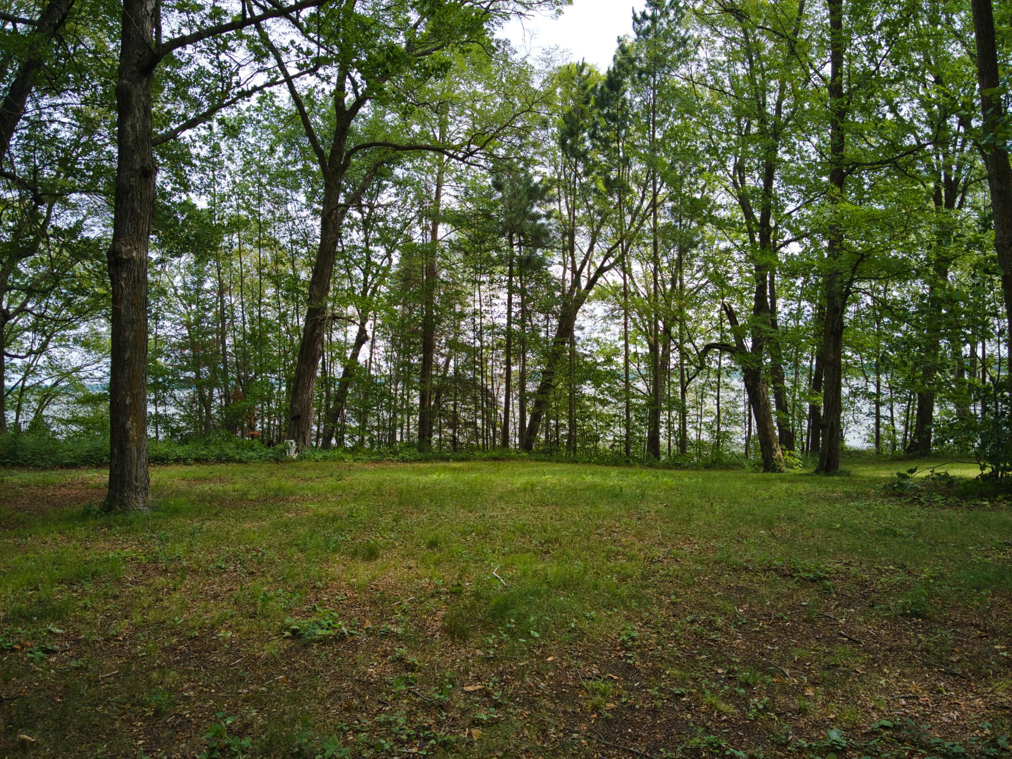 11284 W Splithand Road Property Photo 17