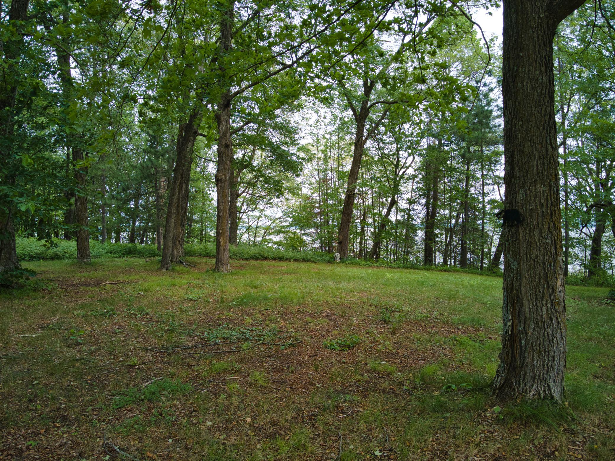 11284 W Splithand Road Property Photo 18