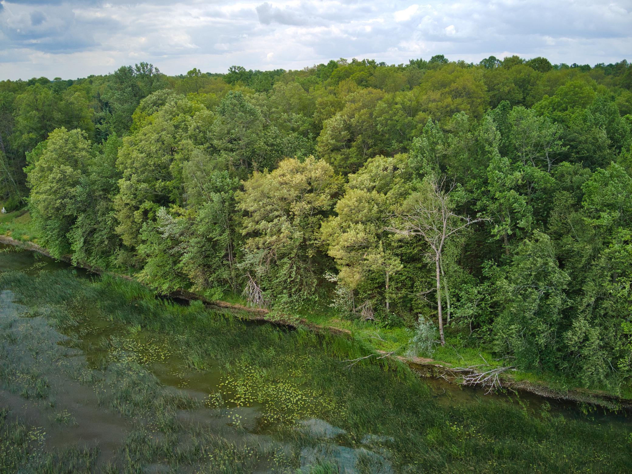 11284 W Splithand Road Property Photo 23