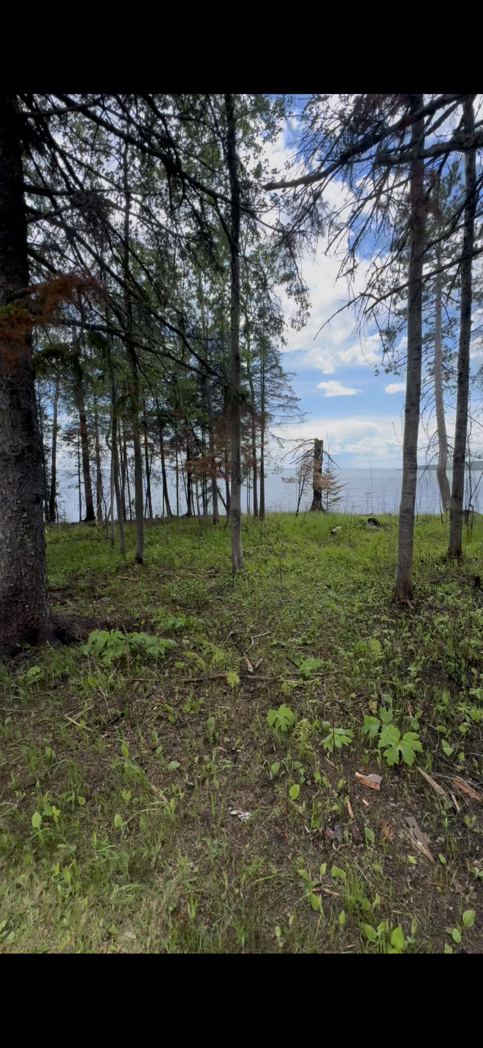 1690 Highway 61 Property Photo 30