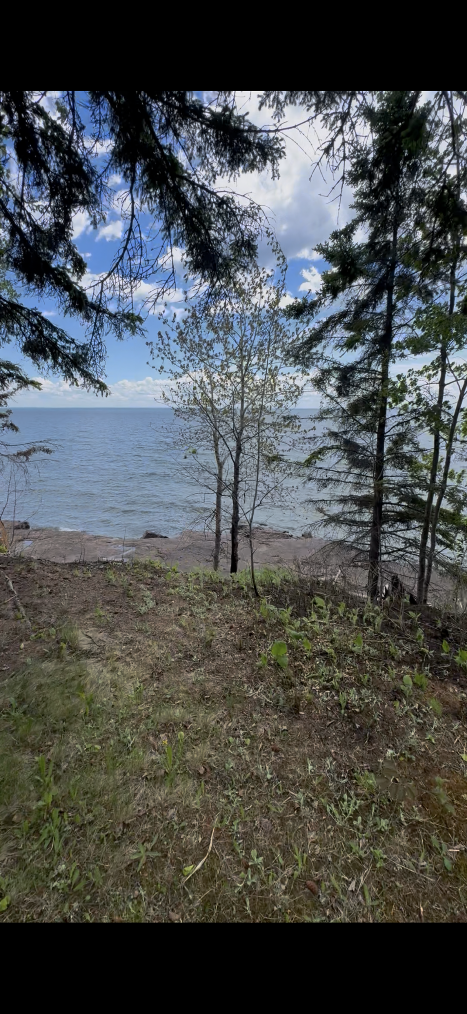 1690 Highway 61 Property Photo 31