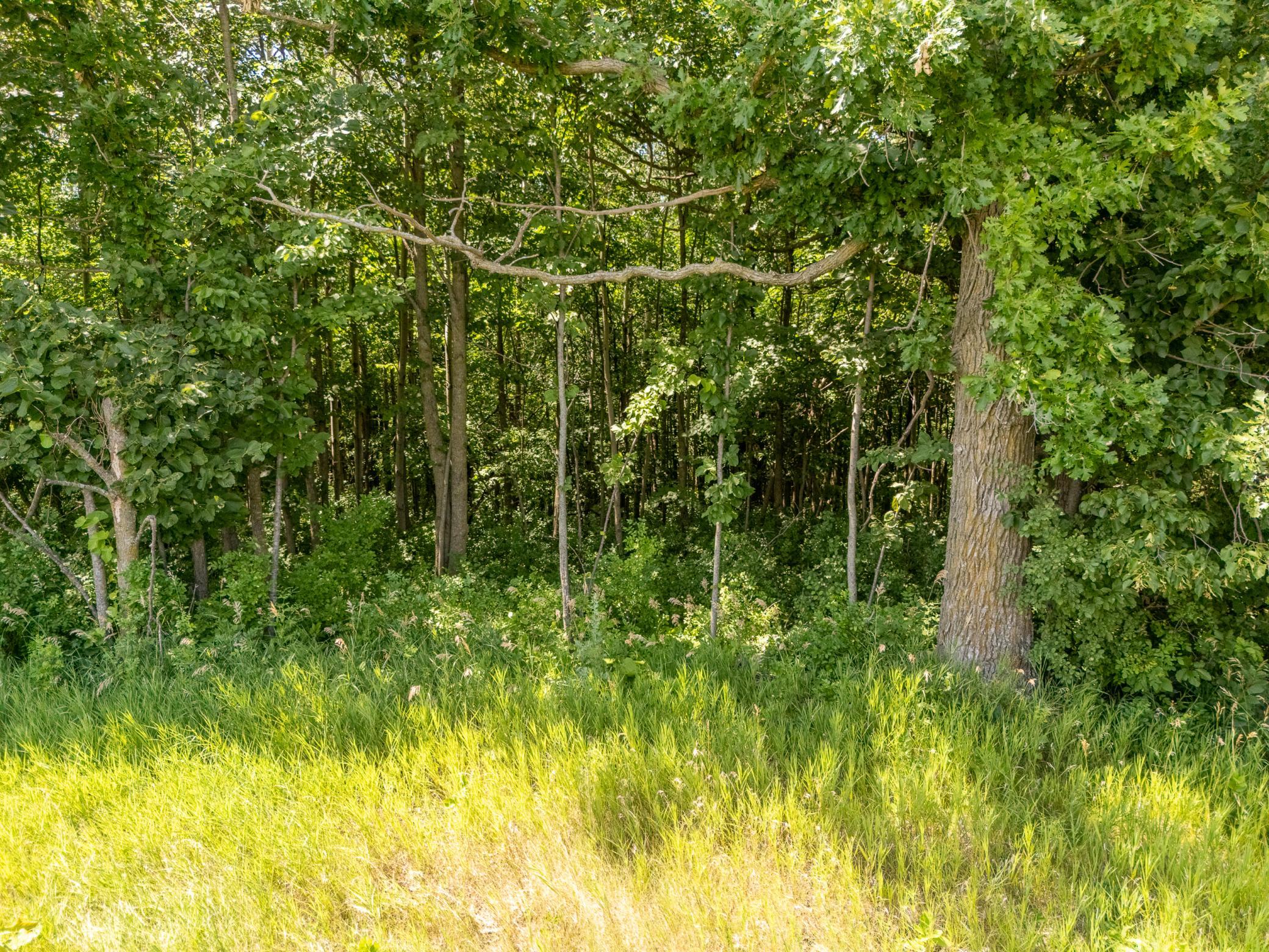 Tbd Xxx County Road 3 Property Photo 3
