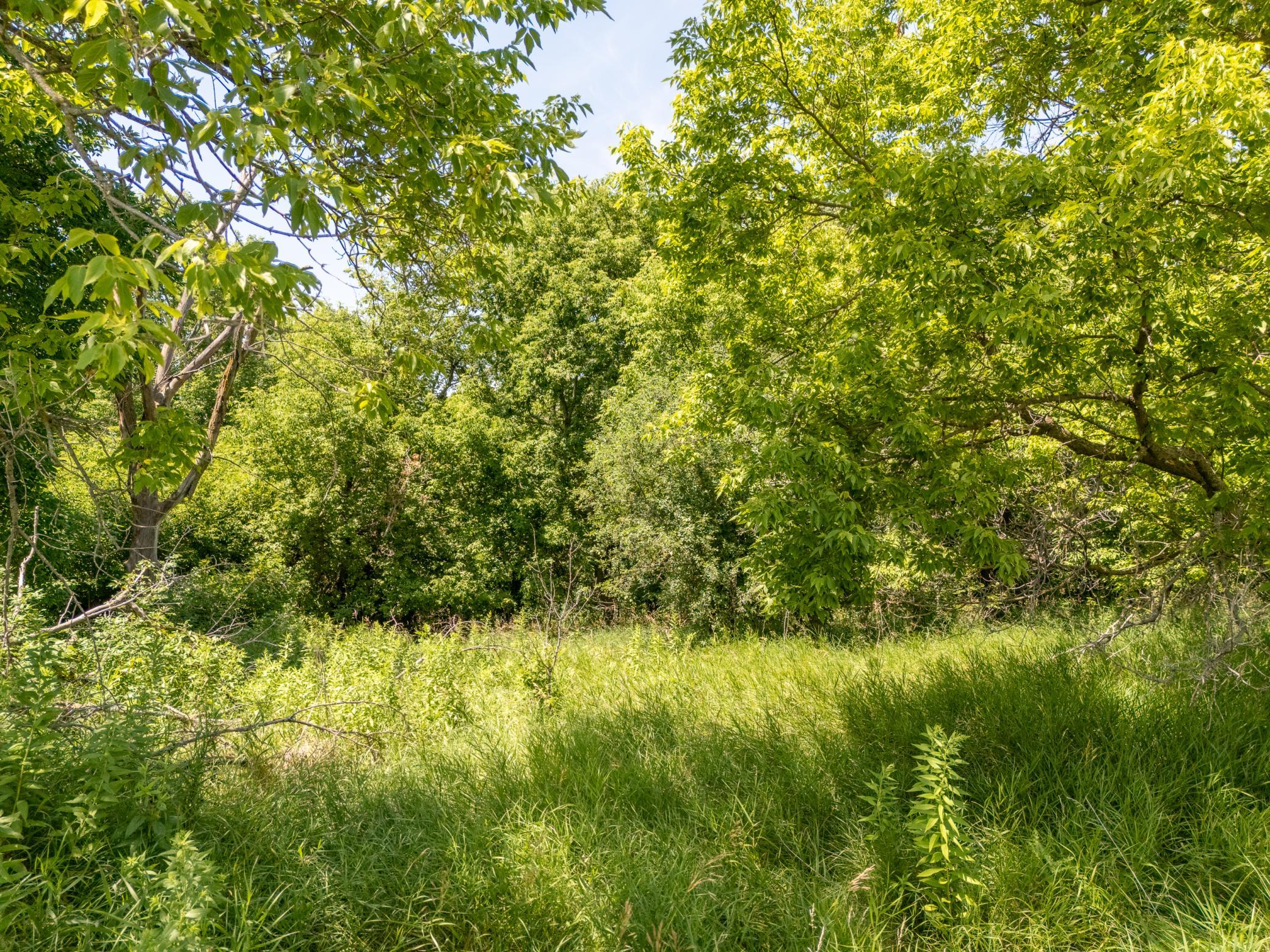 Tbd Xxx County Road 3 Property Photo 5