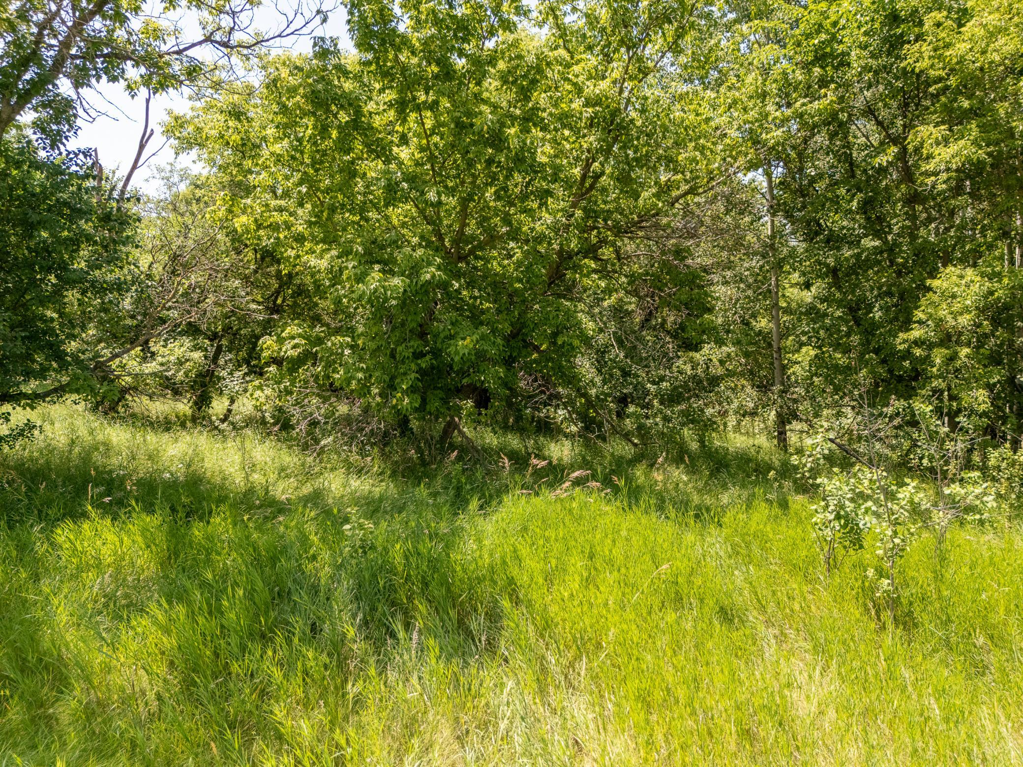 Tbd Xxx County Road 3 Property Photo 6