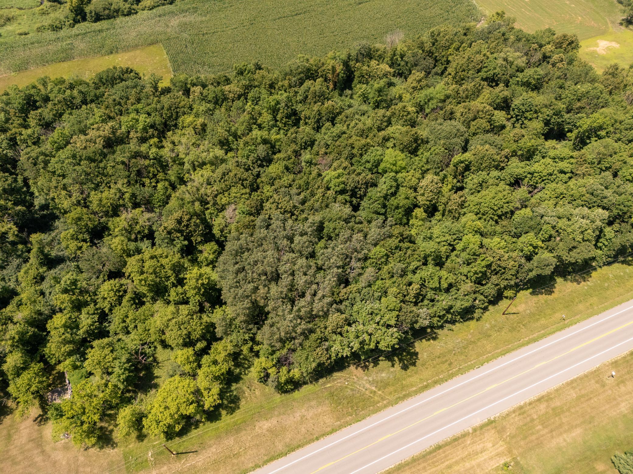 Tbd Xxx County Road 3 Property Photo 16