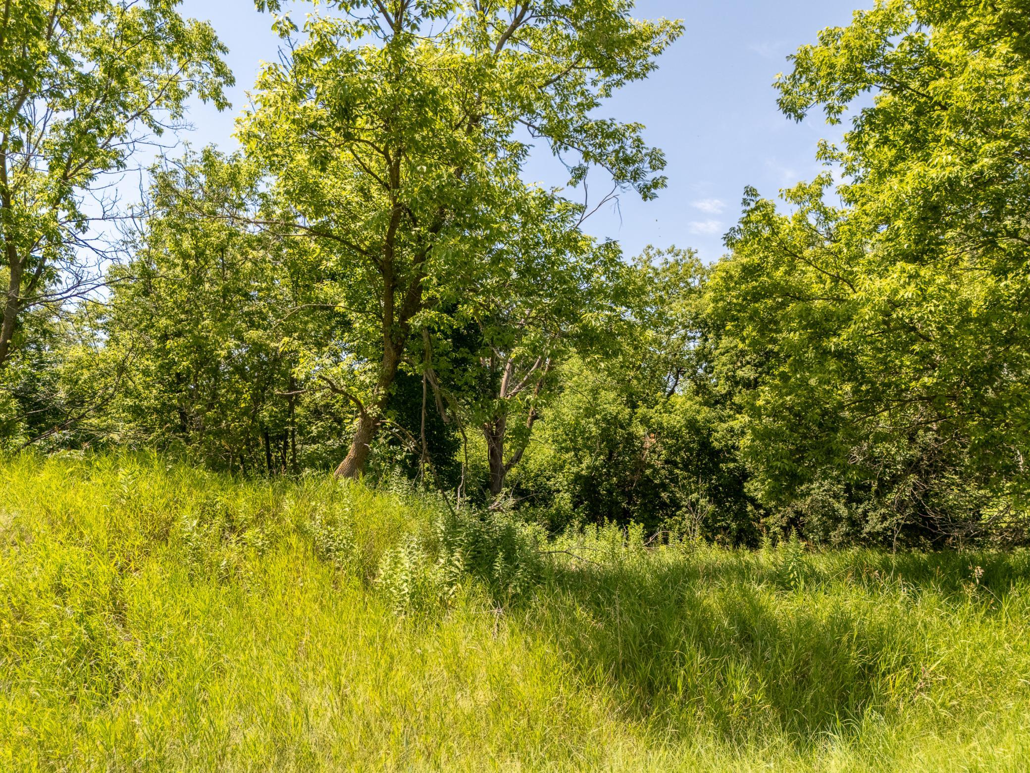 Tbd Xxx County Road 3 Property Photo 18