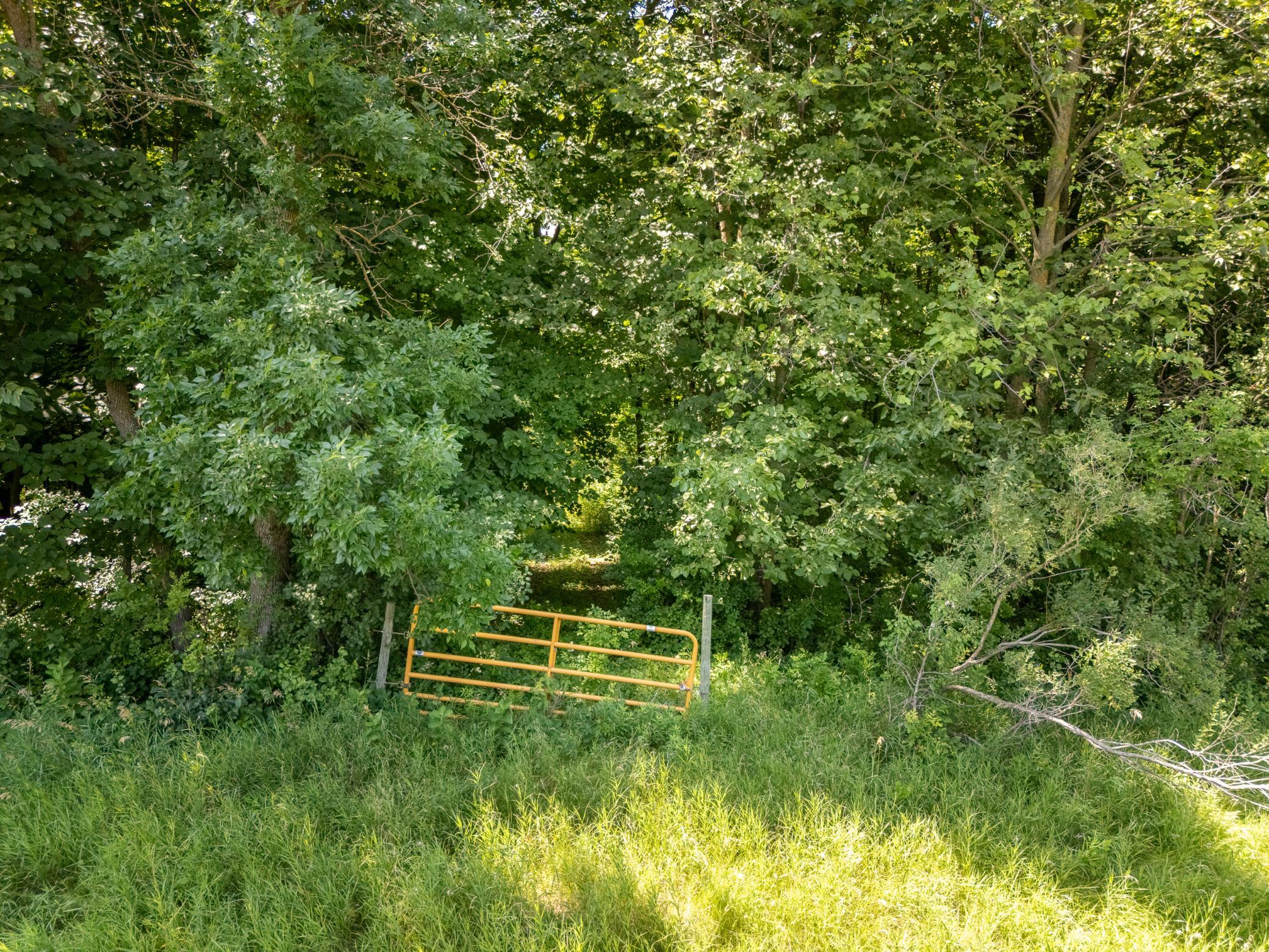 Tbd Xxx County Road 3 Property Photo 19