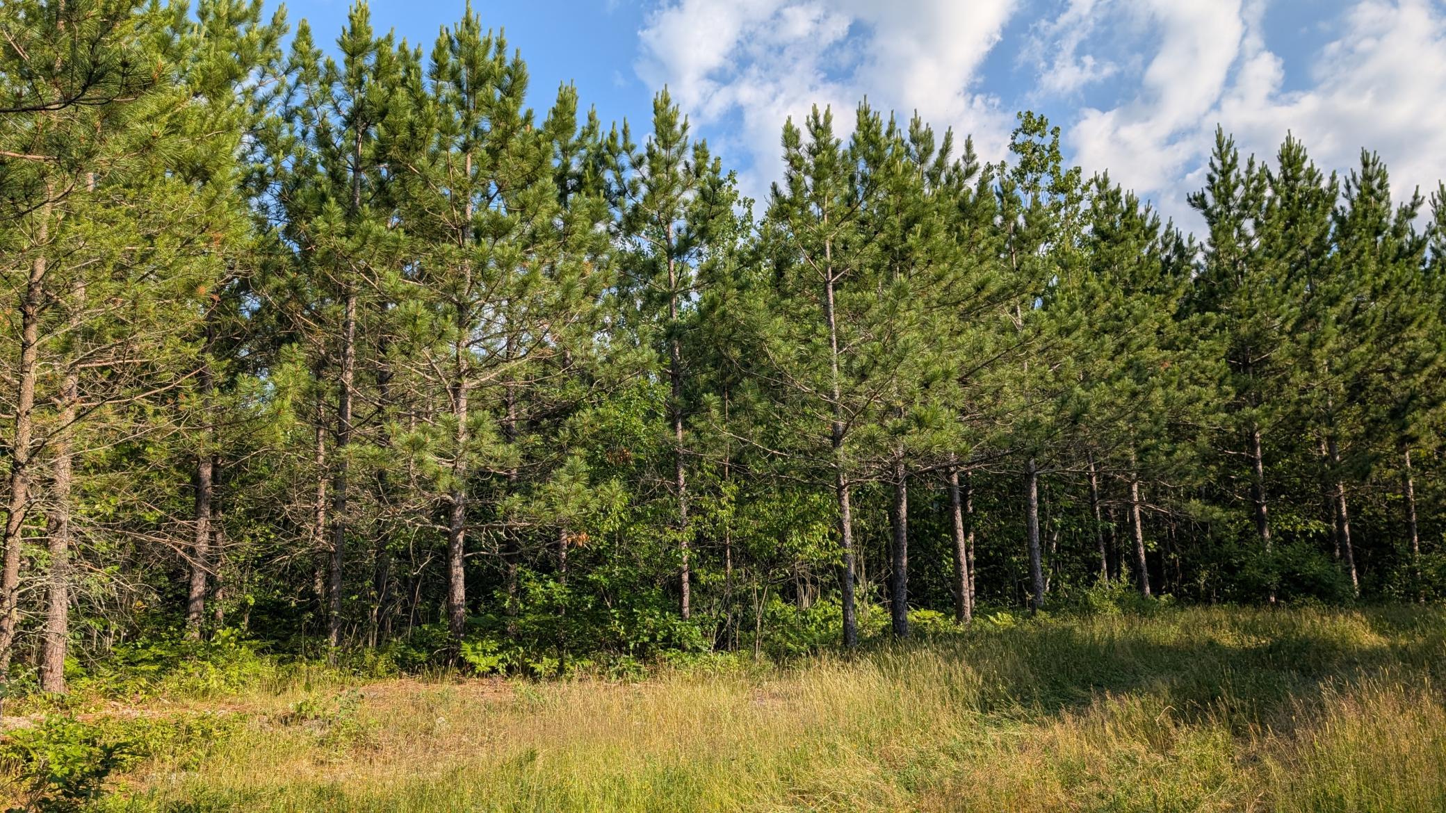 Lot C Hwy. 24 Property Photo 1