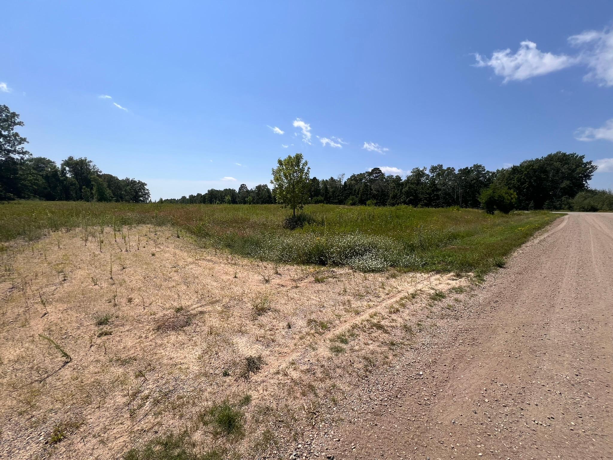 36200 County Road 39 Property Photo 10