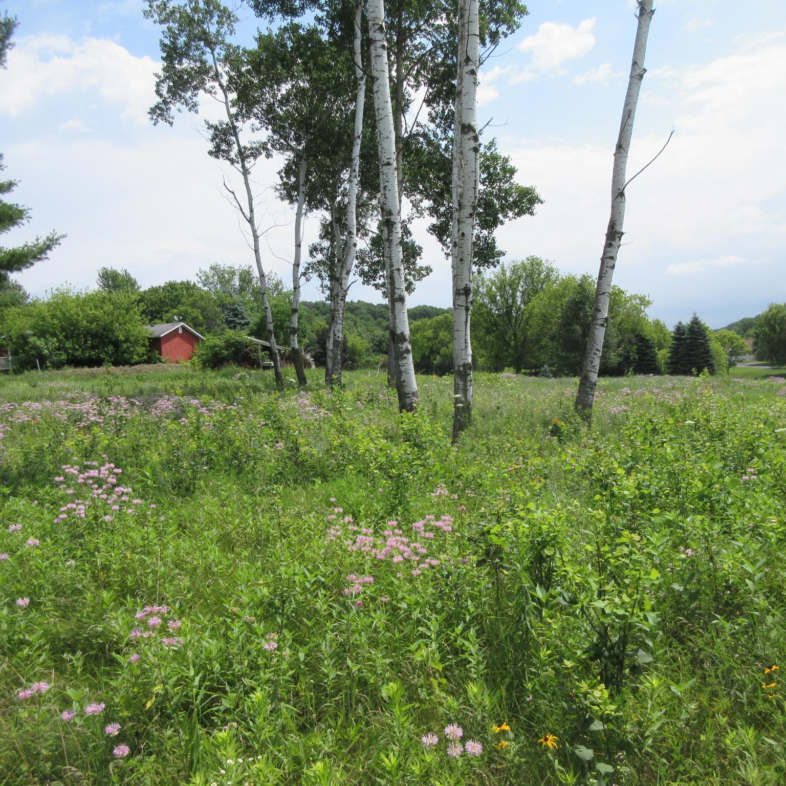 Lot 12 516th Street Property Photo 1