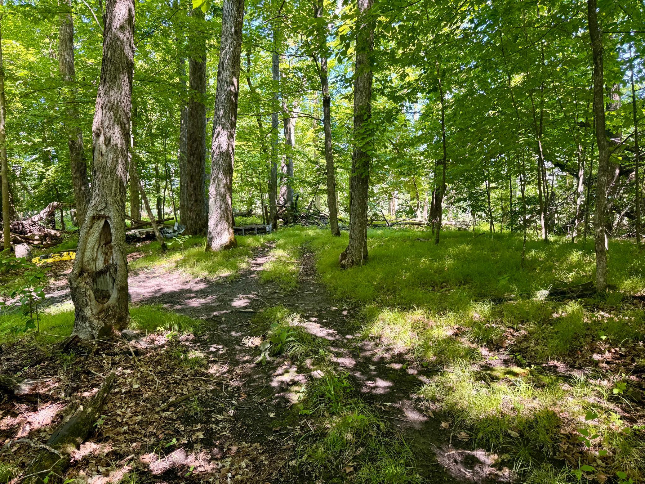 45753 Crystal Beach Rd Property Photo 11
