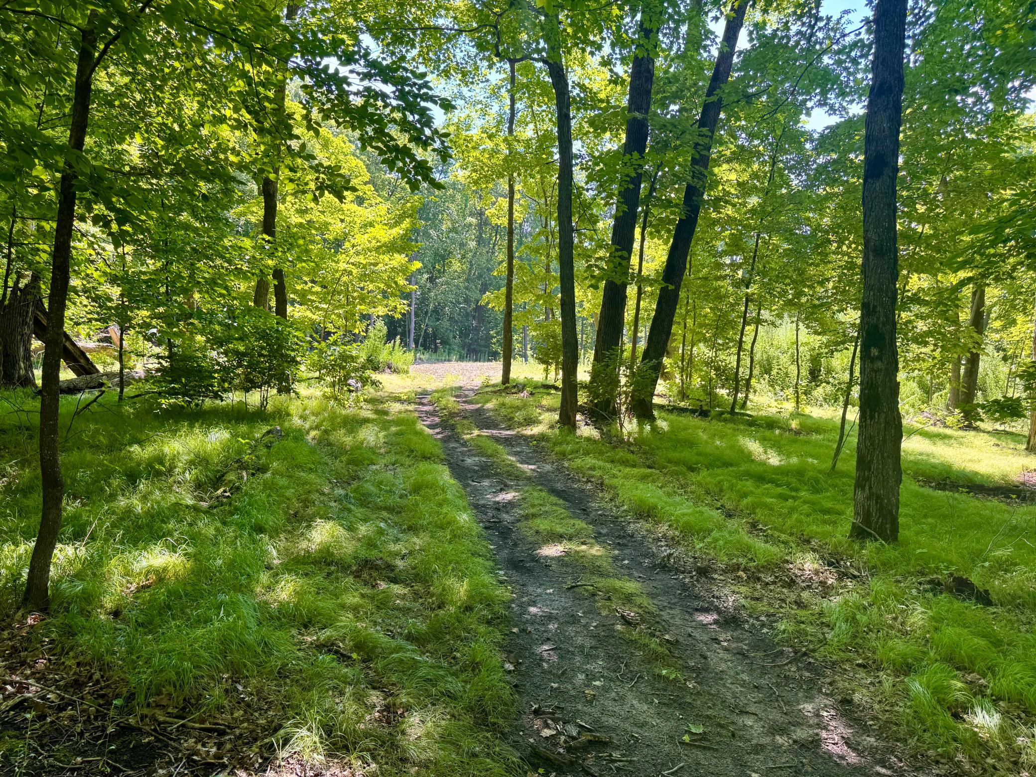 45753 Crystal Beach Rd Property Photo 12