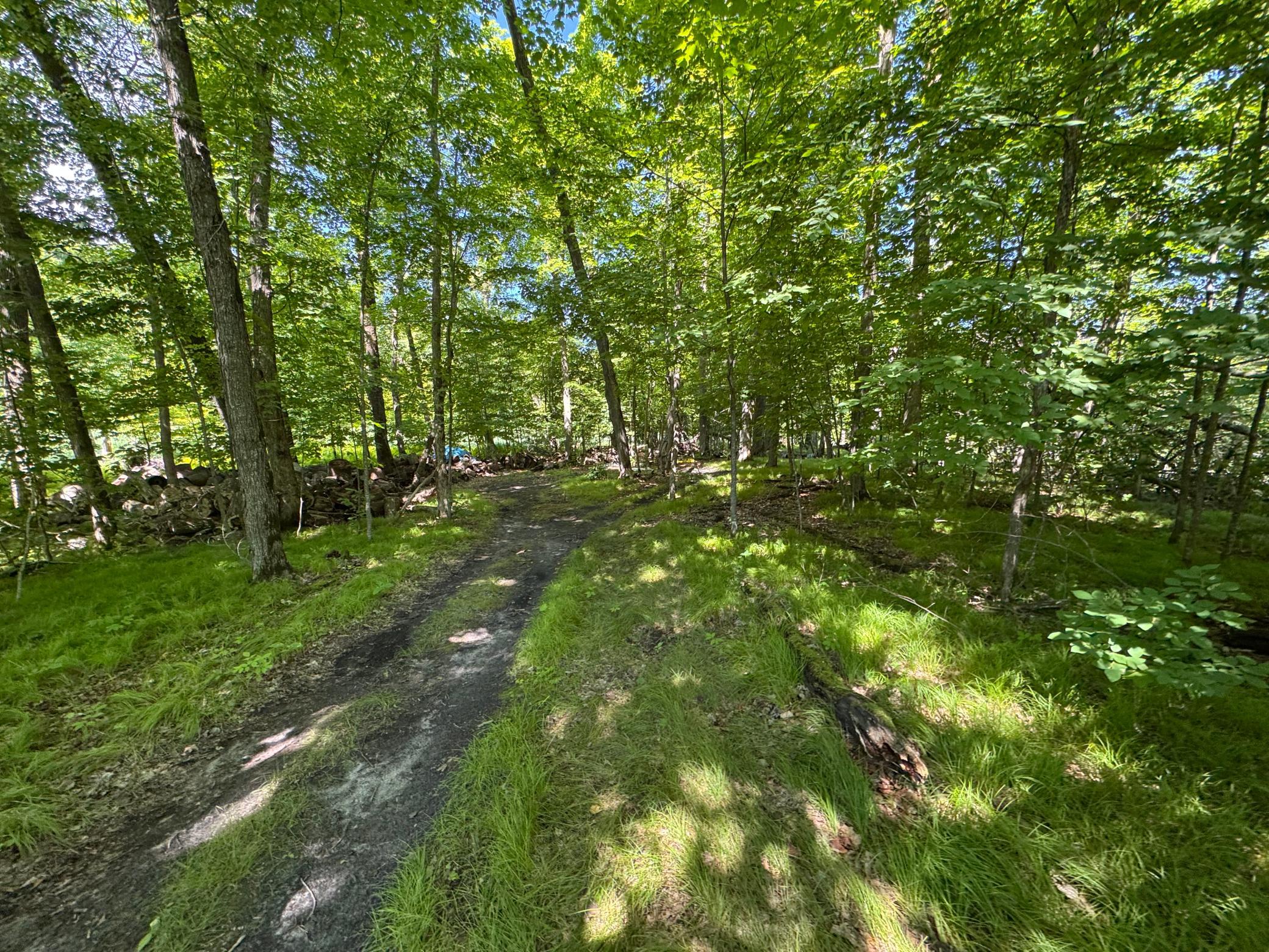 45753 Crystal Beach Rd Property Photo 13