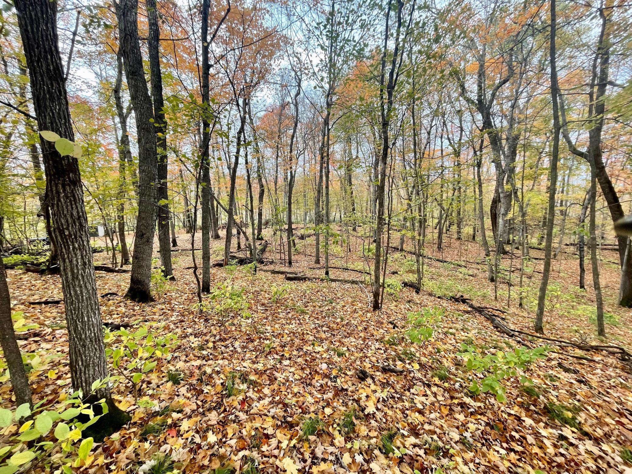 45753 Crystal Beach Rd Property Photo 17