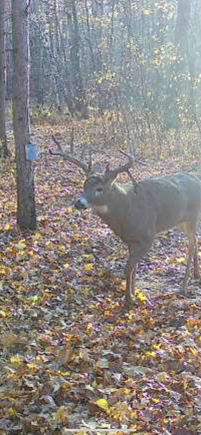 Xxx Bashaw Store Rd Property Photo 2